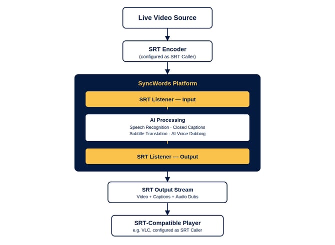srt-testing-workflow-diagram (1)